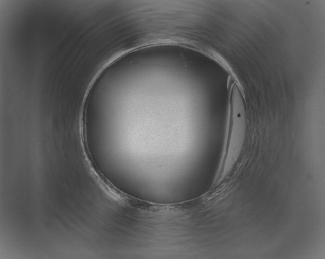 X0000073420811200608181119