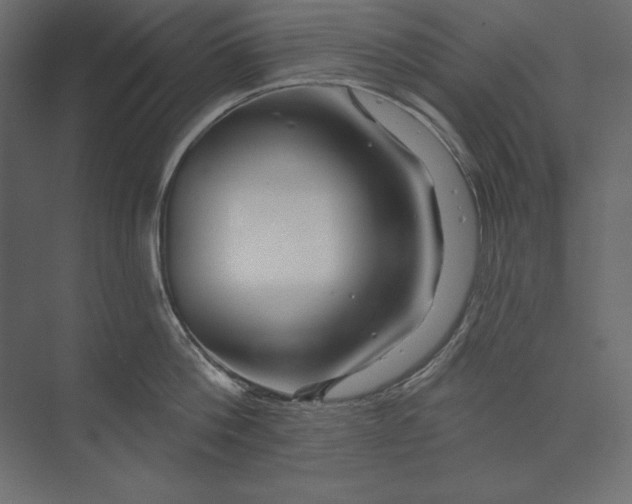 X0000073420812200608181119