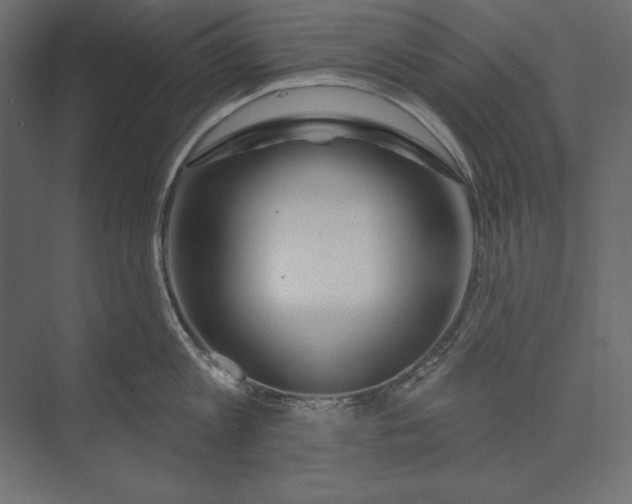 X0000073420813200608181119