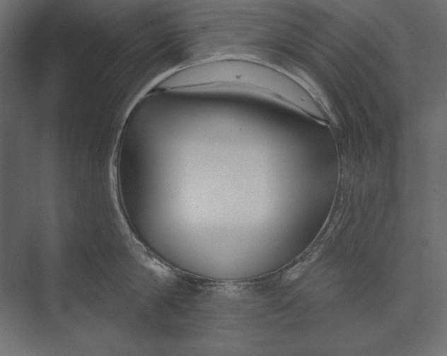 X0000073420814200608181119