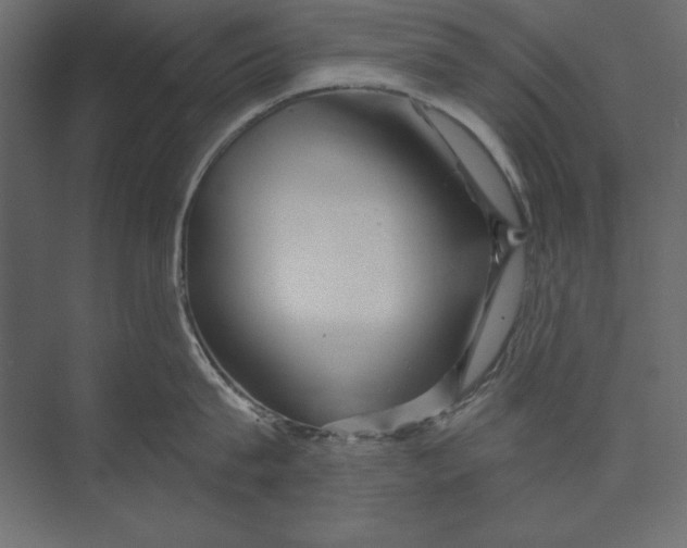 X0000073420815200608181119