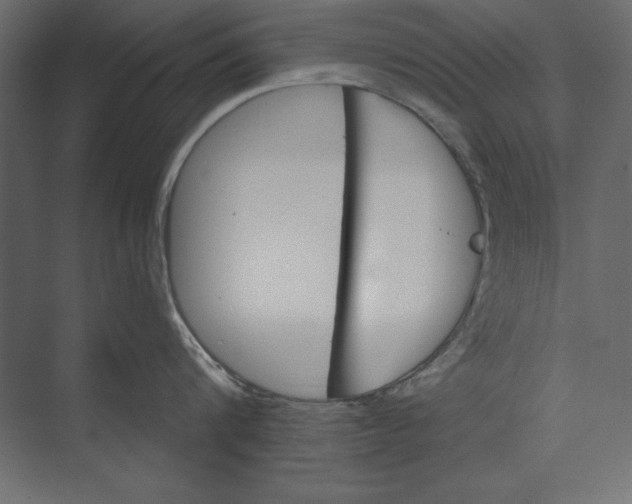 X0000073420816200608181119