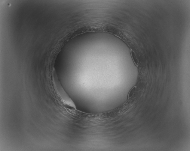 X0000073420817200608181118