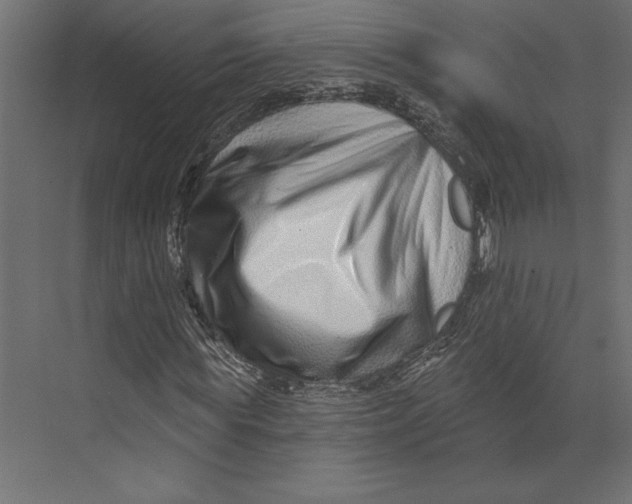 X0000073420819200608181118