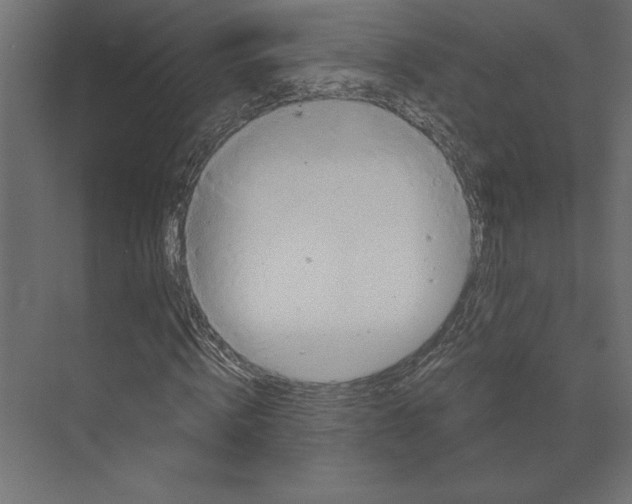 X0000073420820200608181119