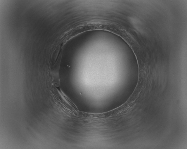 X0000073420821200608181119