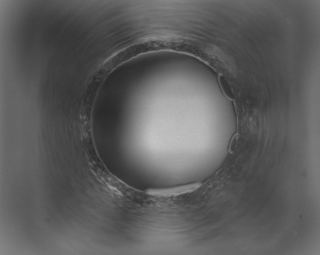 X0000073420822200608181119