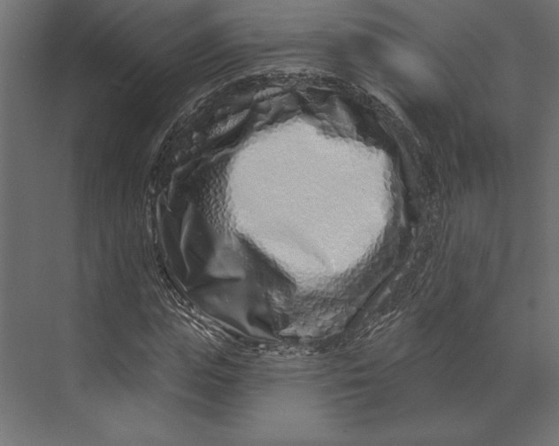 X0000073420823200608181119