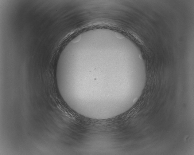 X0000073420824200608181119