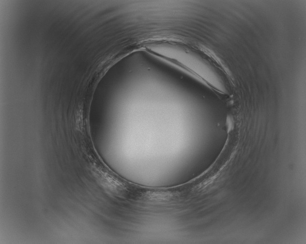 X0000073420825200608181119