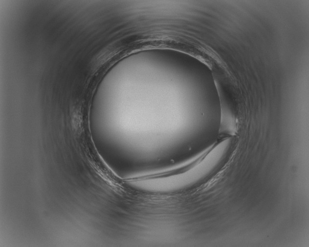 X0000073420826200608181119