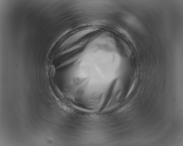 X0000073420827200608181119