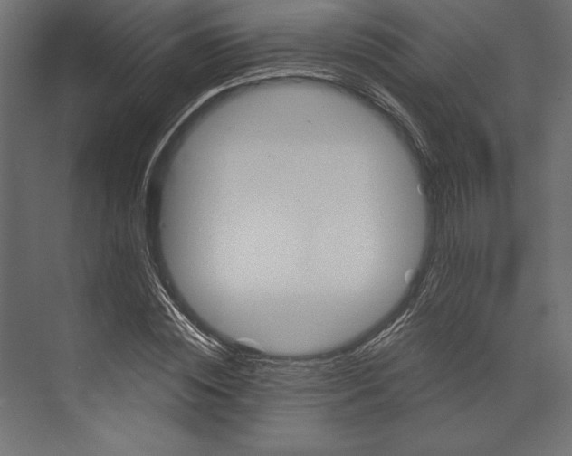 X0000073420828200608181119