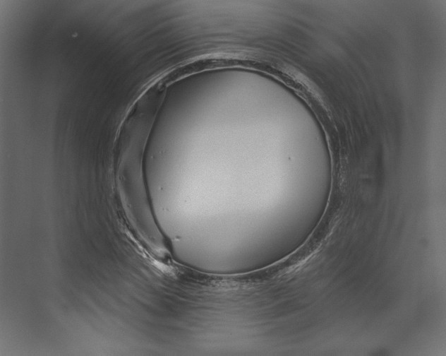 X0000073420829200608181119