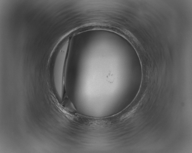 X0000073420830200608181119