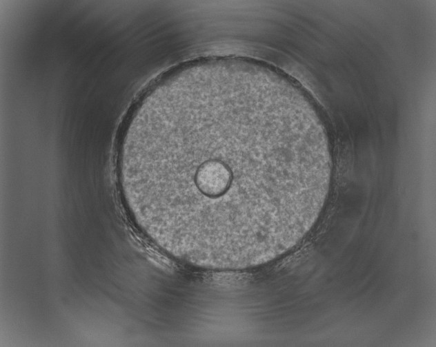 X0000073420832200608181119