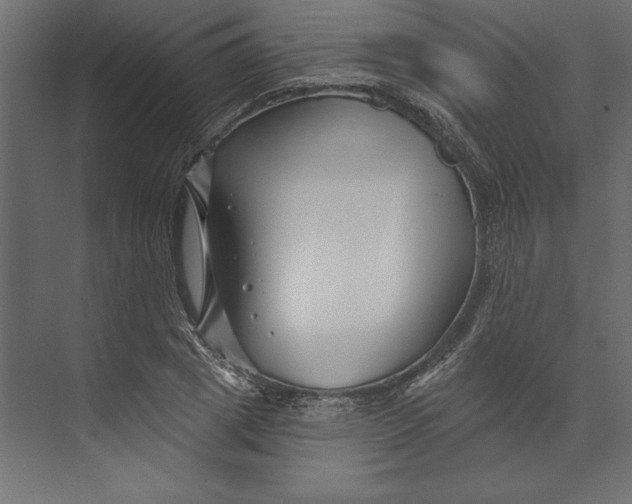 X0000073420833200608181119