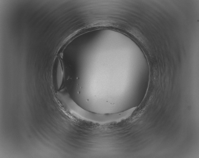 X0000073420834200608181119