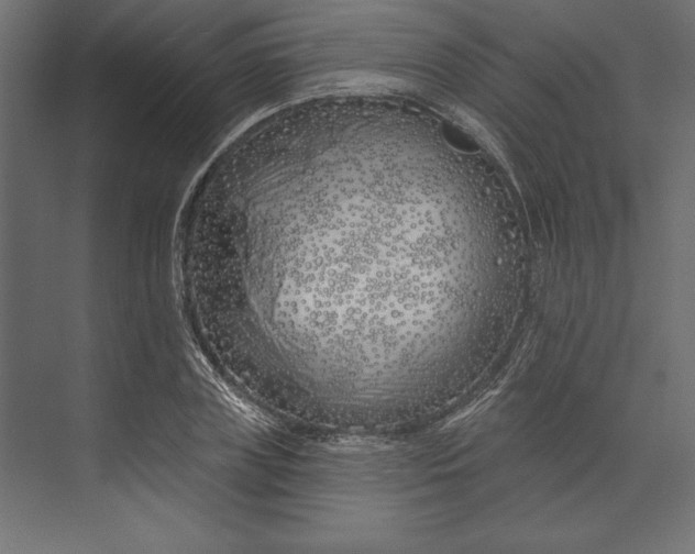 X0000073420835200608181119