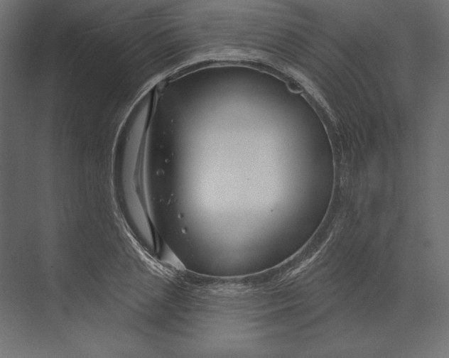 X0000073420837200608181119