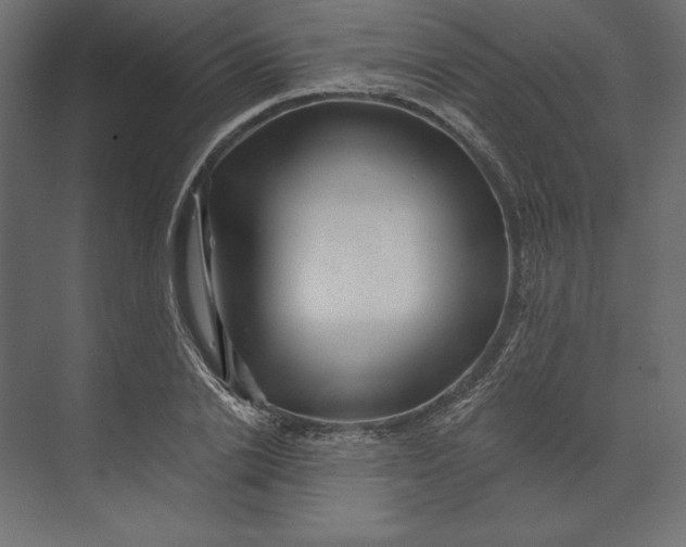 X0000073420838200608181119