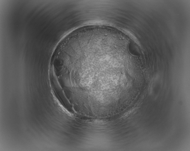 X0000073420839200608181119