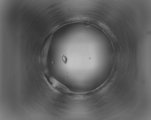 X0000073420841200608181119