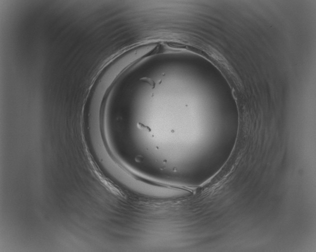 X0000073420842200608181119