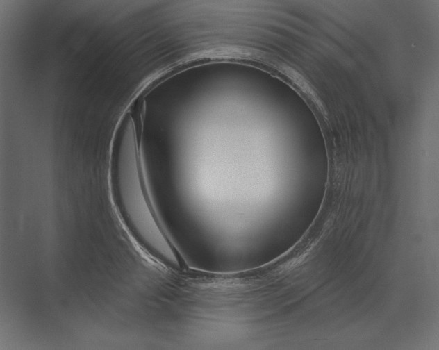 X0000073420845200608181119