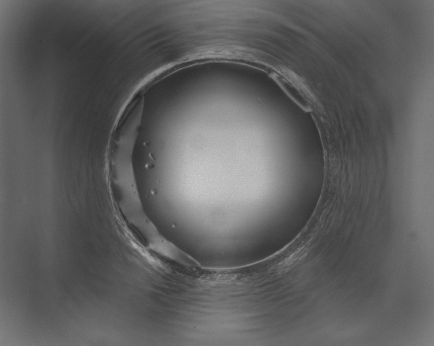 X0000073420846200608181119