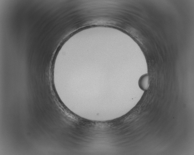 X0000073420848200608181119