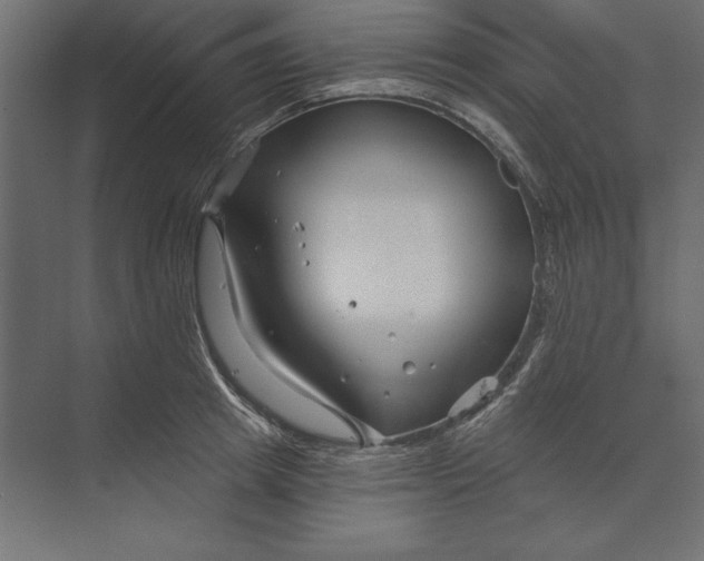 X0000073420849200608181119