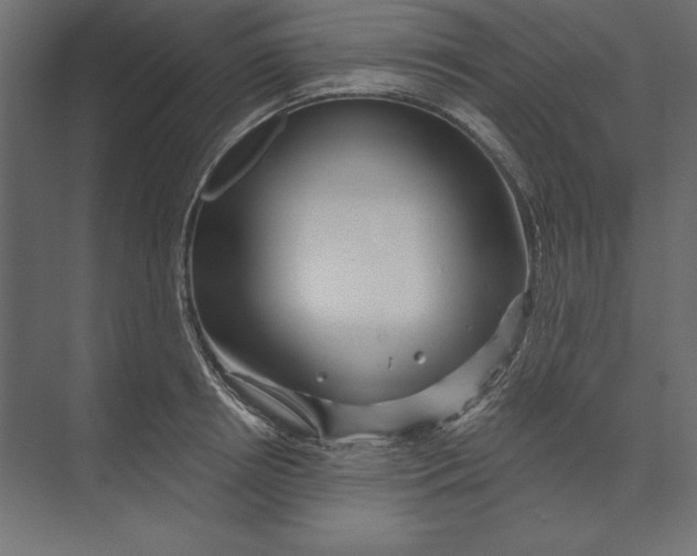 X0000073420850200608181119