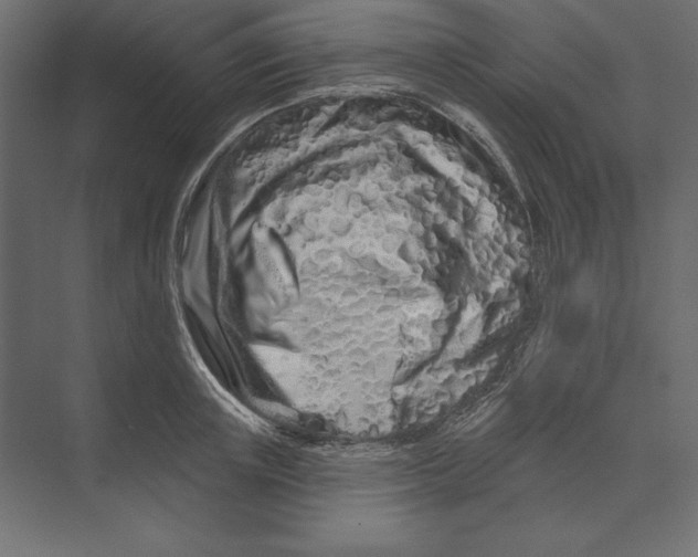 X0000073420851200608181119