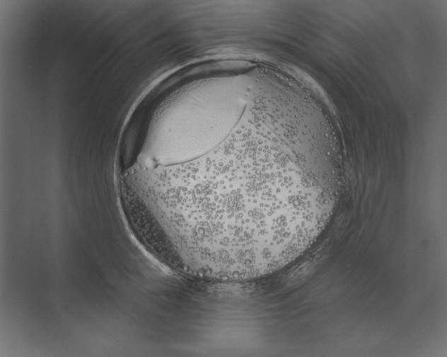 X0000073420855200608181119