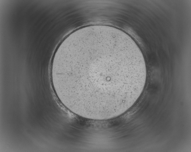 X0000073420856200608181119