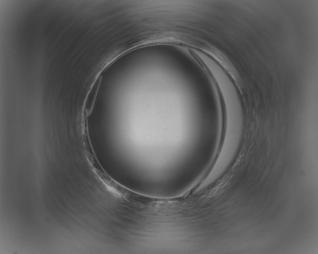 X0000073420858200608181119