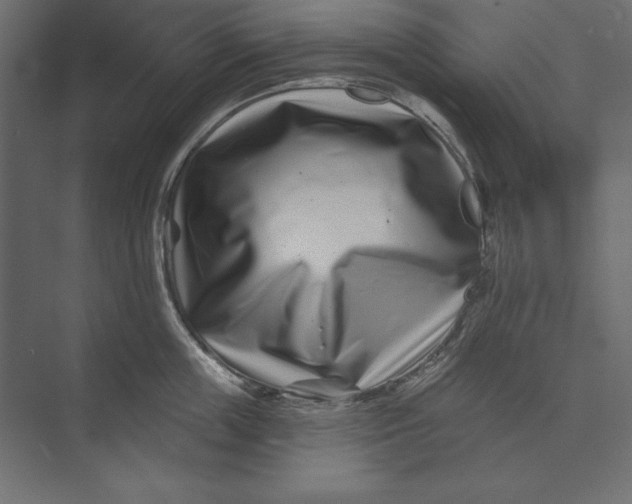 X0000073420859200608181119