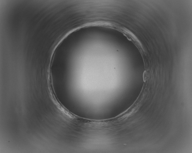 X0000073420860200608181119