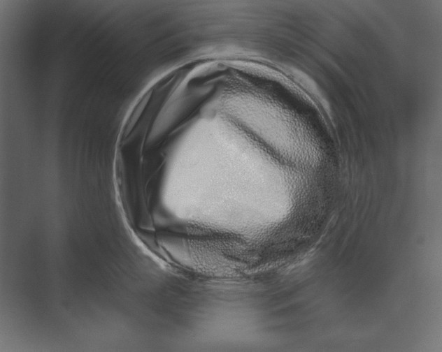 X0000073420863200608181119