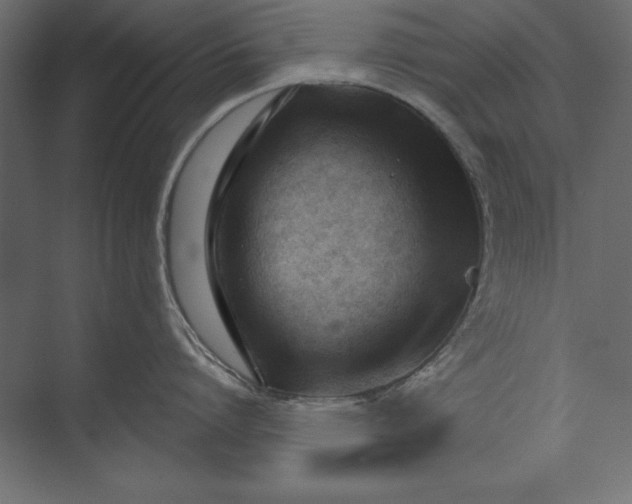 X0000073420864200608181119