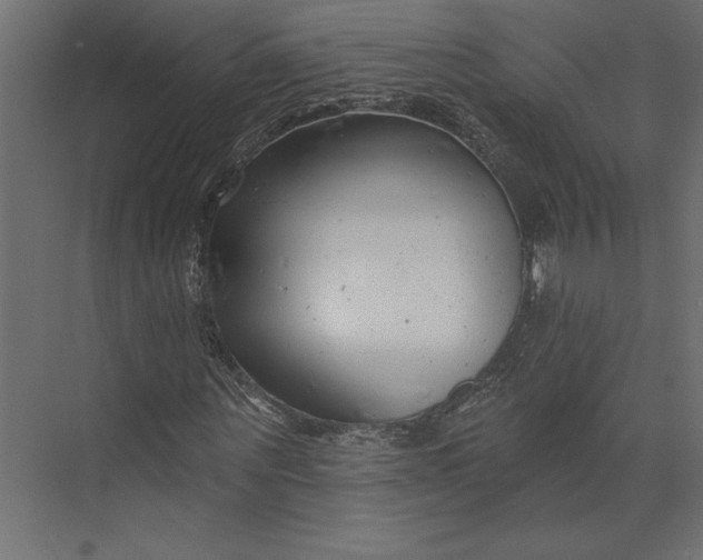 X0000073420867200608181118