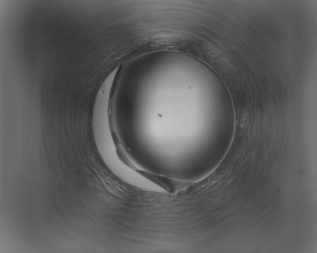 X0000073420868200608181118