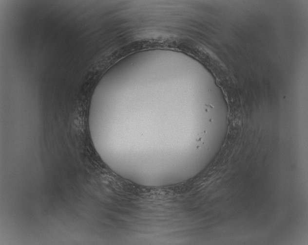 X0000073420869200608181118