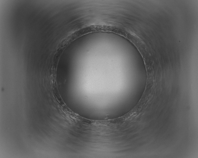 X0000073420870200608181118