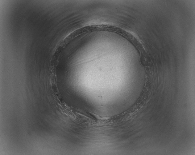 X0000073420871200608181118