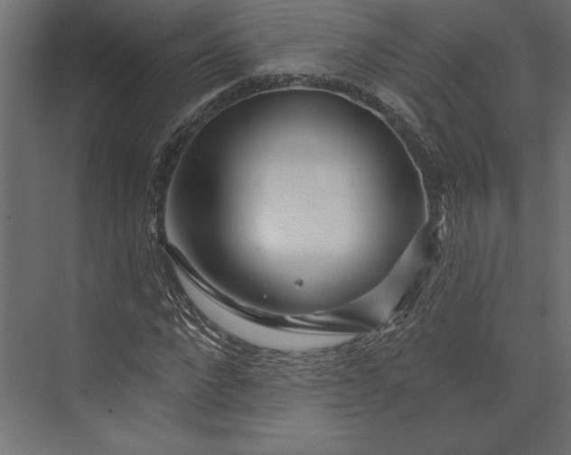 X0000073420872200608181118