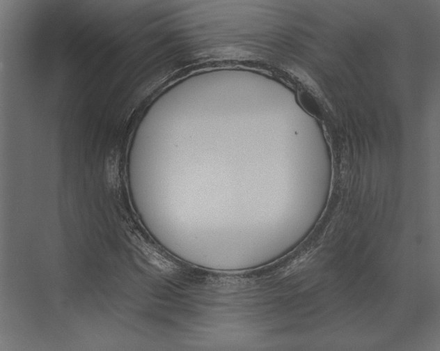 X0000073420873200608181118