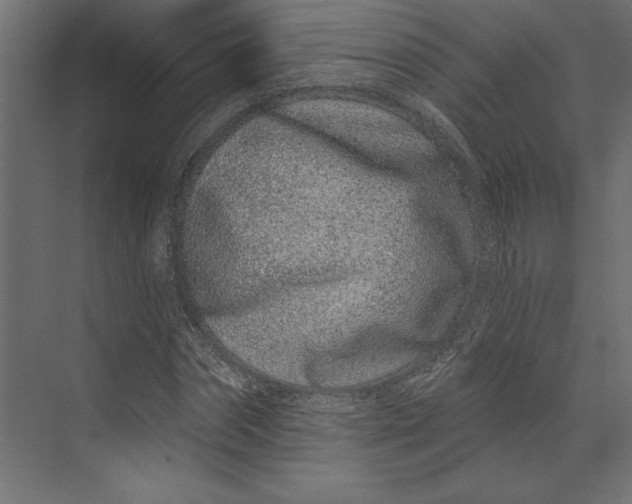 X0000073420874200608181118