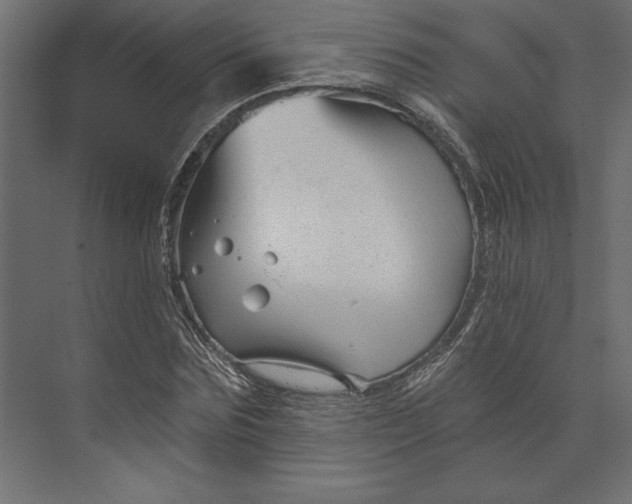 X0000073420875200608181118